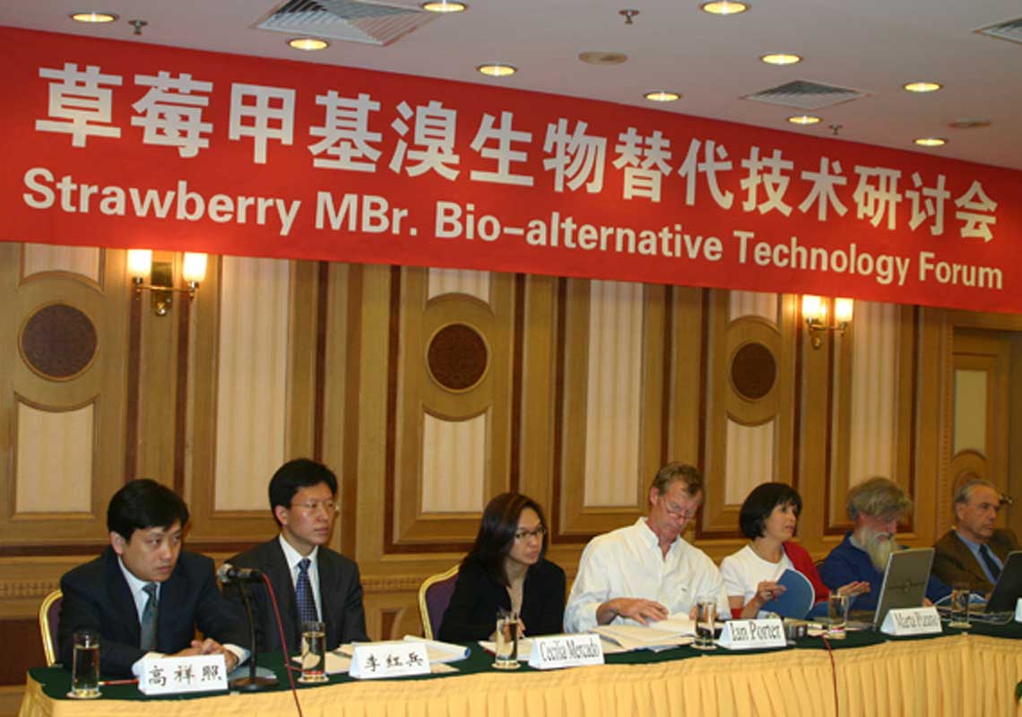 聯(lián)合國環(huán)境署、聯(lián)合國工發(fā)組織等機構出席了我公司舉行的草莓甲基溴生物替代技術(shù)研討會(huì )