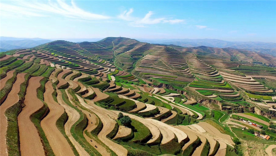 領(lǐng)先生物|國家重點(diǎn)研發(fā)計劃“黃土高原旱作適水改土與產(chǎn)能提升技術(shù)模式及應用”項目啟動(dòng) 領(lǐng)先生物|國家重點(diǎn)研發(fā)計劃“黃土高原旱作適水改土與產(chǎn)能提升技術(shù)模式及應用”項目啟動(dòng)